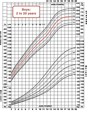 bigcockteen|Average Penis Size and Development During Puberty .